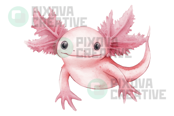 Bringing Character to Your Canvas with Axolotl Graphic PNG Watercolor